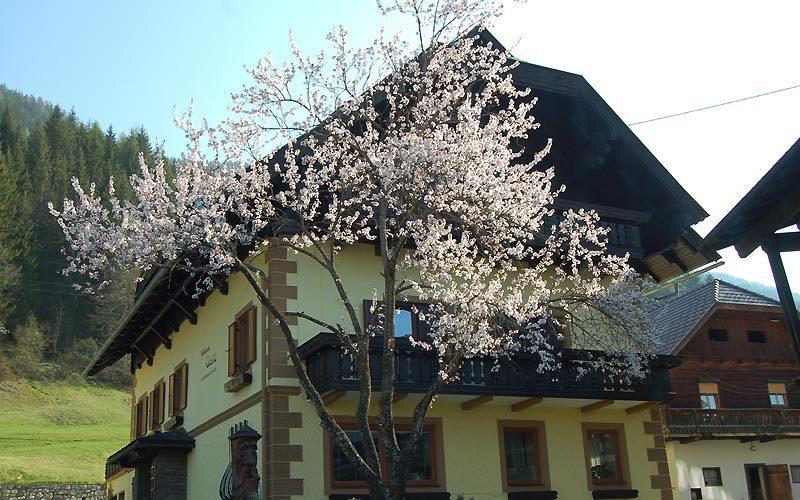 Haus Garz Apartman Weissensee Kültér fotó